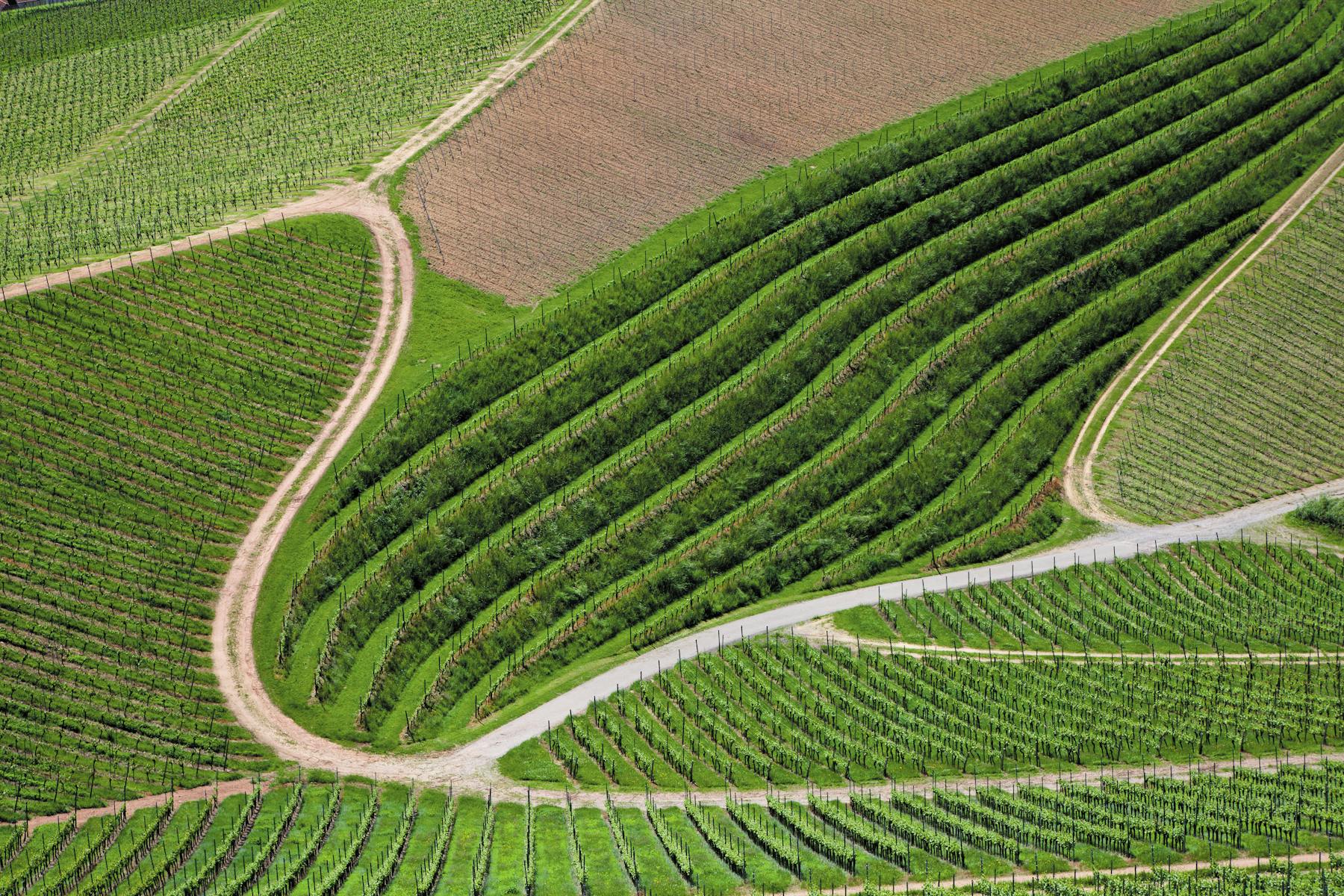 Discover the excellence of Saint-Émilion's grands crus with U'wine: Château Pavie, Château Clos Fourtet, Château Fleur Cardinale, Château Bellevue.